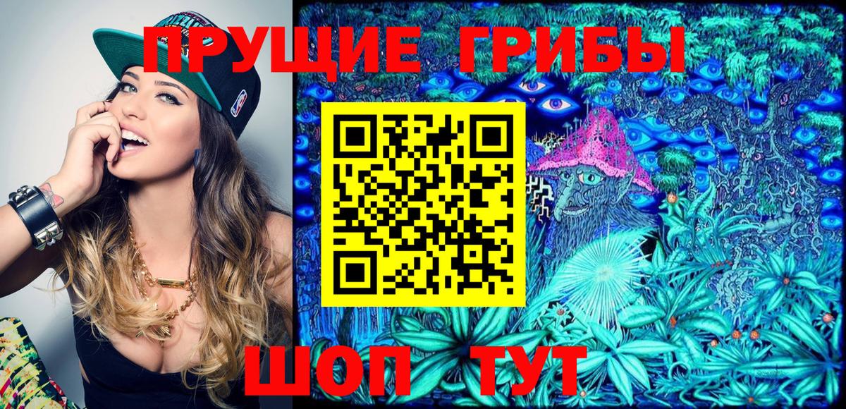 Галлюциногенные грибы Psilocybe  как найти наркотики  Верхняя Пышма  Вход с VPN 