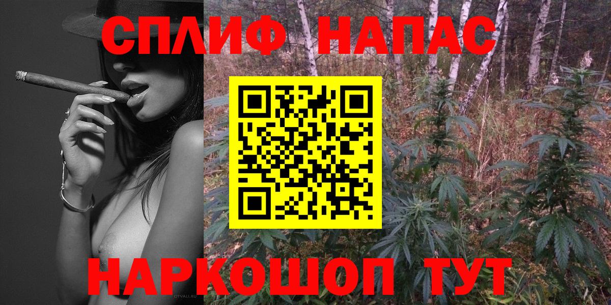 Конопля конопля Верхняя Пышма